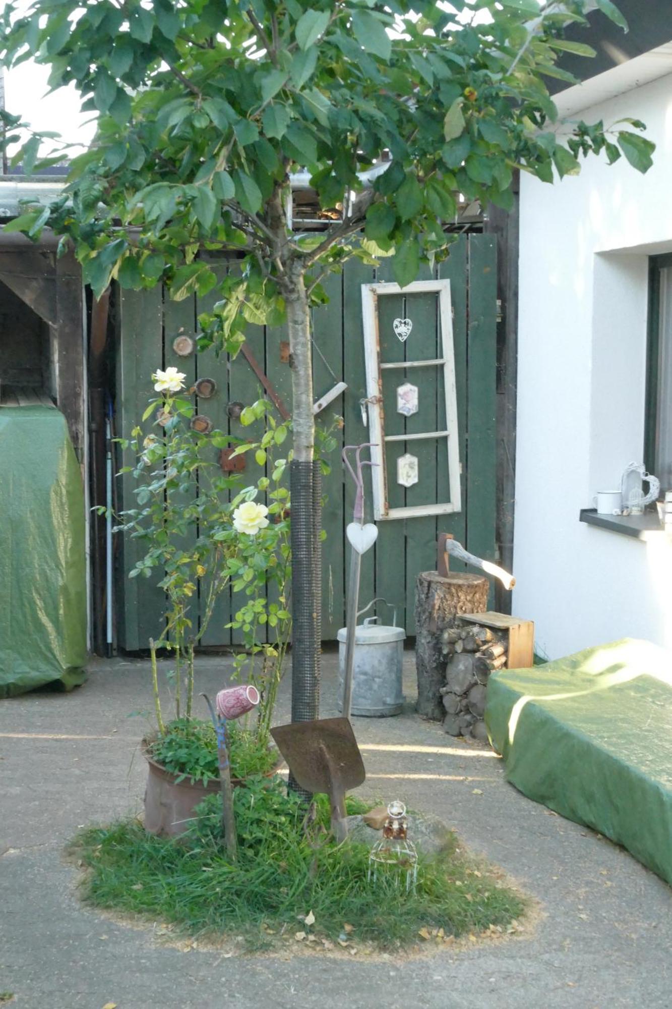 Schaeferwagen Auf'M Minibauernhof In Munster Villa ภายนอก รูปภาพ